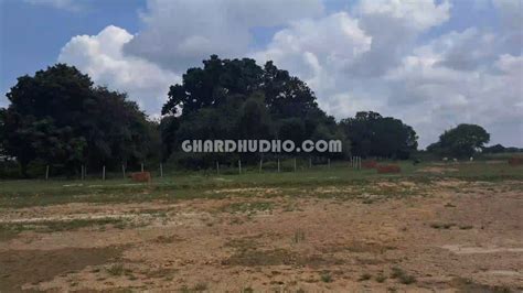 agriculture department lucknow|Agriculture Land for Sale in Lucknow .